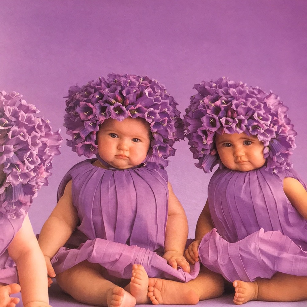 ANNE GEDDES DOWN IN THE GARDEN NWOT - Picture 16 of 16